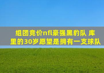 组团竞价nfl豪强黑豹队 库里的30岁愿望是拥有一支球队